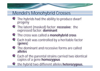 Mendel’s Monohybrid Crosses
The hybrids had the ability to produce dwarf
progeny
The latent (masked) factor: recessive; the
expressed factor: dominant
The cross was called a monohybrid cross
Each trait was controlled by a heritable factor
(genes)
The dominant and recessive forms are called
alleles
Each of the parental strains carried two identical
copies of a gene homozygous
the hybrid two different alleles heterozygous.

 