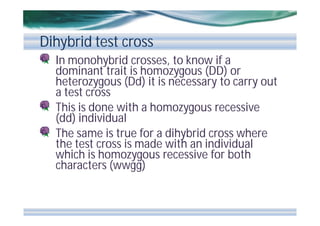 Dihybrid test cross
In monohybrid crosses, to know if a
dominant trait is homozygous (DD) or
heterozygous (Dd) it is necessary to carry out
a test cross
This is done with a homozygous recessive
(dd) individual
The same is true for a dihybrid cross where
the test cross is made with an individual
which is homozygous recessive for both
characters (wwgg)

 