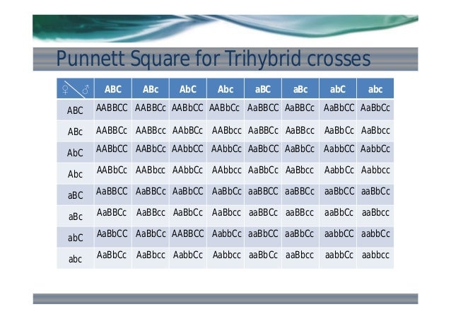 trihybrid cross