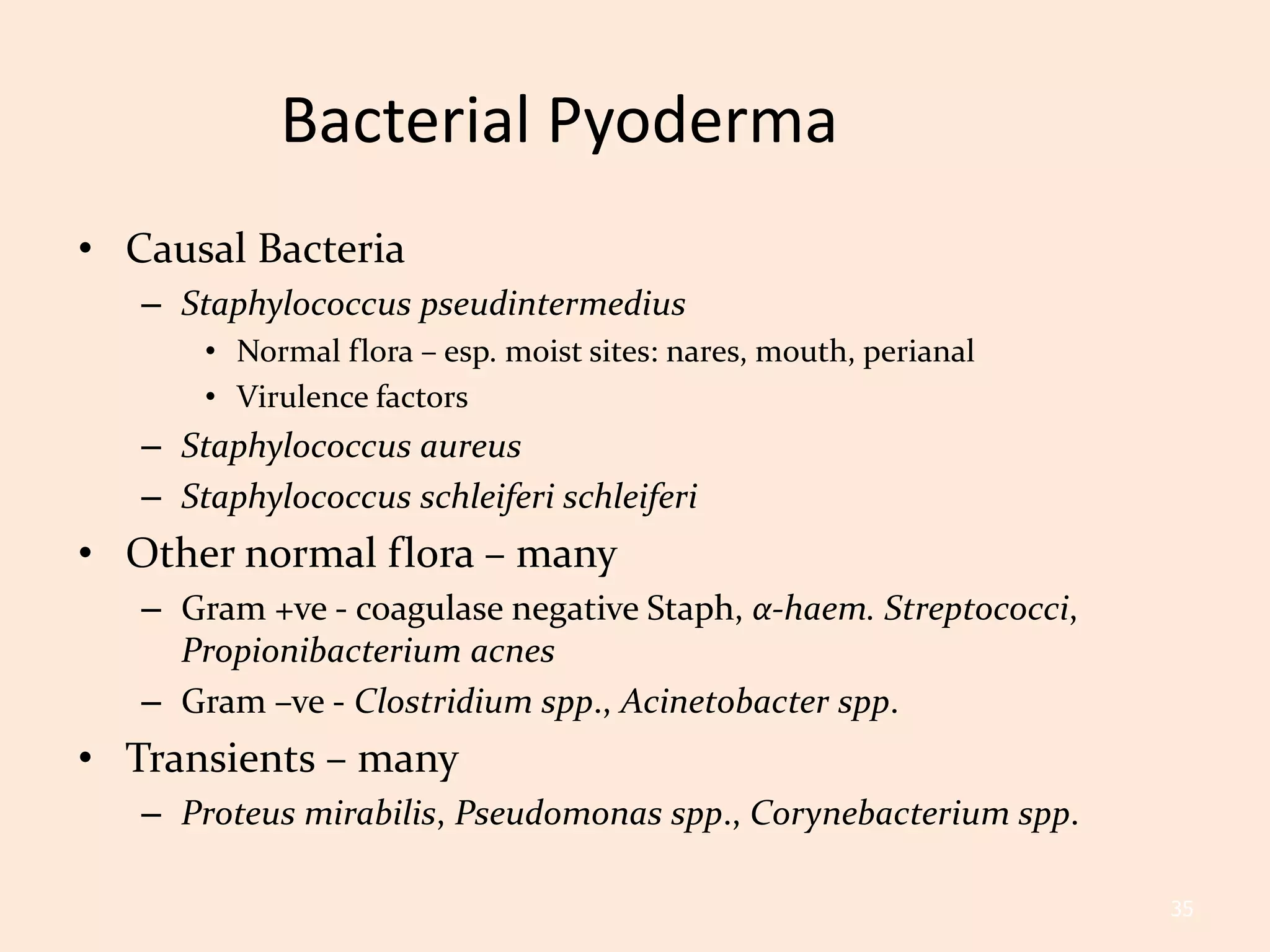 A for Apoquel | PPTX