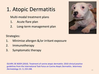 long term effects of apoquel