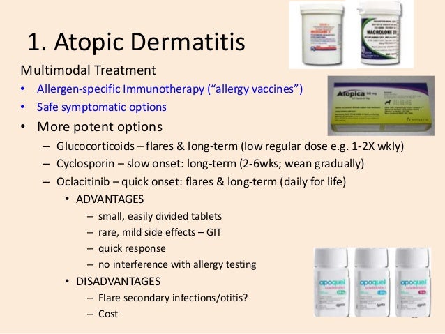 Apoquel Dosing Chart