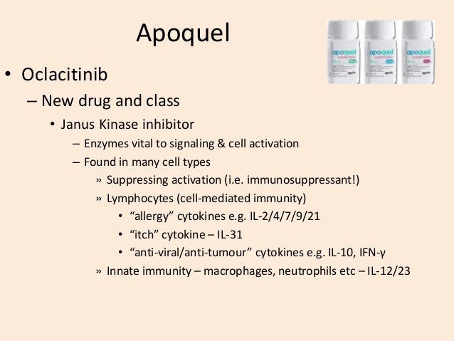 apoquel drug name