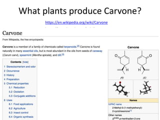 What plants produce Carvone?
https://en.wikipedia.org/wiki/Carvone
https://en.wikipedia.org/wiki/Carvone
 