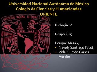 Biología IV

Grupo 615

Equipo: Mesa 4
• Nayely Santiago Tecotl
• Vidal Cuevas Carlos
  Aurelio
 