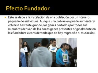    Este se debe a la instalación de una población por un número
    pequeño de individuos. Aunque una población puede aumentar y
    volverse bastante grande, los genes portados por todos sus
    miembros derivan de los pocos genes presentes originalmente en
    los fundadores (considerando que no hay migración ni mutación).
 