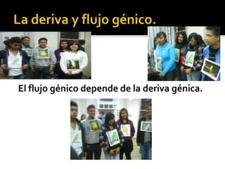 El flujo génico depende de la deriva génica.
 