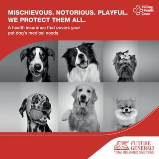 MISCHIEVOUS. NOTORIOUS. PLAYFUL.
WE PROTECT THEM ALL.
A health insurance that covers your
pet dog’s medical needs.
 
