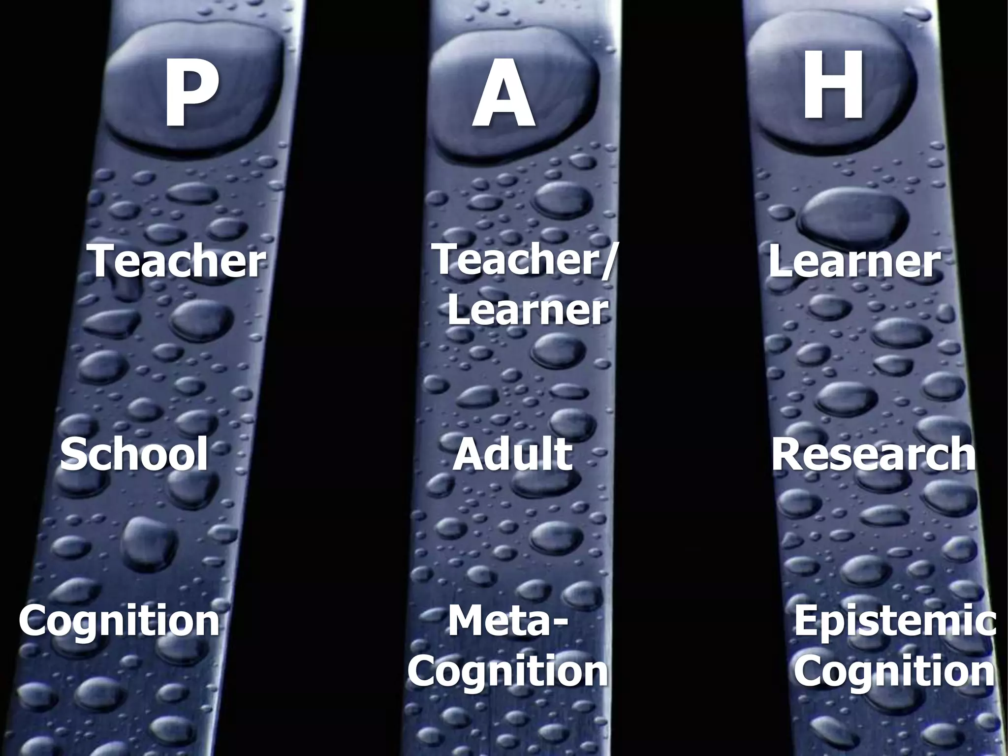 P A H
Teacher
School
Teacher/
Learner
Learner
Research
Cognition Epistemic
Cognition
Meta-
Cognition
Adult
 
