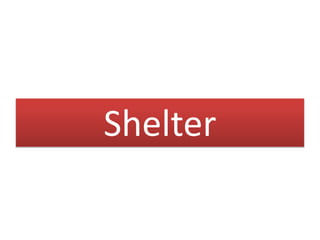 Shelter
 