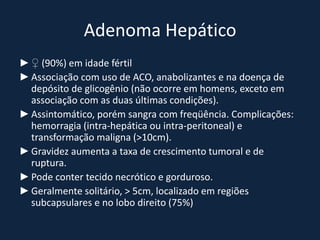 Adenoma Hepático
► ♀ (90%) em idade fértil
► Associação com uso de ACO, anabolizantes e na doença de
  depósito de glicogênio (não ocorre em homens, exceto em
  associação com as duas últimas condições).
► Assintomático, porém sangra com freqüência. Complicações:
  hemorragia (intra-hepática ou intra-peritoneal) e
  transformação maligna (>10cm).
► Gravidez aumenta a taxa de crescimento tumoral e de
  ruptura.
► Pode conter tecido necrótico e gorduroso.
► Geralmente solitário, > 5cm, localizado em regiões
  subcapsulares e no lobo direito (75%)
 