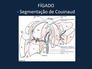 FÍGADO
- Segmentação de Couinaud
 