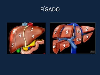 FÍGADO
 