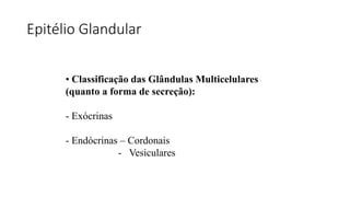 Epitélio Glandular
• Classificação das Glândulas Multicelulares
(quanto a forma de secreção):
- Exócrinas
- Endócrinas – Cordonais
- Vesiculares
 