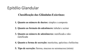 Epitélio Glandular
Classificação das Glândulas Exócrinas:
1. Quanto ao número de ductos: simples e composta
2. Quanto ao formato do adenômero: tubular e acinar
3. Quanto ao número de adenômeros: ramificada e não-
ramificada
4. Quanto a forma de secreção: merócrina, apócrina e holócrina
5. Tipo de secreção: Serosa, mucosa ou seromucosa (mista)
 