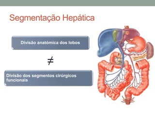 Segmentação Hepática
Divisão anatómica dos lobos
≠
Divisão dos segmentos cirúrgicos
funcionais
 