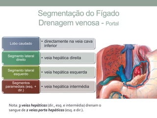Segmentação do Fígado
Drenagem venosa - Portal
• directamente na veia cava
inferior
Lobo caudado
• veia hepática direitaSegmento lateral
direito
• veia hepática esquerdaSegmento lateral
esquerdo
• veia hepática intermédia
Segmentos
paramediais (esq. +
dir.)
Nota: 3 veias hepáticas (dir., esq. e intermédia) drenam o
sangue de 2 veias porta hepáticas (esq. e dir.).
 