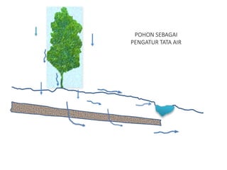 POHON SEBAGAI
PENGATUR TATA AIR
 