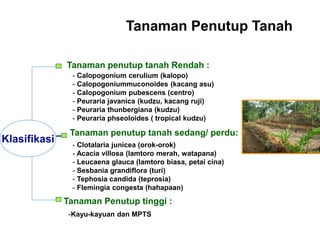 Tanaman Penutup Tanah
Klasifikasi
Tanaman penutup tanah Rendah :
Tanaman penutup tanah sedang/ perdu:
- Calopogonium cerulium (kalopo)
- Calopogoniummuconoides (kacang asu)
- Calopogonium pubescens (centro)
- Peuraria javanica (kudzu, kacang ruji)
- Peuraria thunbergiana (kudzu)
- Peuraria phseoloides ( tropical kudzu)
- Clotalaria junicea (orok-orok)
- Acacia villosa (lamtoro merah, watapana)
- Leucaena glauca (lamtoro biasa, petai cina)
- Sesbania grandiflora (turi)
- Tephosia candida (teprosia)
- Flemingia congesta (hahapaan)
Tanaman Penutup tinggi :
-Kayu-kayuan dan MPTS
 