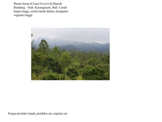 Fungsi proteksi tanah, produksi air, regulasi air
Hutan Awan (Cloud Forest) di Daerah
Rendang – Kab. Karangasem, Bali. Curah
hujan tinggi, solum tanah dalam, kerapatan
vegetasi tinggi
 