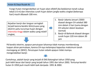 Fungsi hutan mengendalikan air hujan akan efektif jika kedalaman tanah cukup
tebal (>3 m) dan intensitas curah hujan dalam jangka waktu singkat (beberapa
hari) masih dibawah 100 mm.
Kejadian banjir dan longsor seringkali
terjadi karena kondisi iklim/cuaca yang
ekstrim yaitu turunnya hujan dengan
intensitas tinggi dalam waktu yang relatif
singkat,
1. Banjir Jakarta Januari /2003
diawali dengan CH setebal 380
mm dalam 3 hari (sama dengan
CH sebulan dalam keadaan
normal)
2. Banjir di Bahorok diawali dengan
curah hujan 120 mm dalam 30
jam
Pd kondisi ekstrim, apapun penutupan lahannya tidak mampu membendung
luapan aliran permukaan, karena CH-nya melampaui kapasitas maksimum tanah
memegang air (WHC). Penutupan hutan sebaik apapun tidak mampu
mengendalikan banjir.
Contohnya, adalah banjir yang terjadi di DAS Batanghari tahun 1950 yang
jauh lebih besar dari banjir yang terjadi tahun 1991 dan tahun 2002. Tentunya kondisi
hutan th 1950 jauh masih lebih baik daripada 1991 & 2002.
Hutan & Daya Rusak Air
 