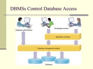 DBMSs Control Database Access 