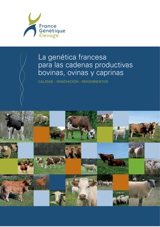 La genética francesa
para las cadenas productivas
bovinas, ovinas y caprinas
CALIDAD - INNOVACIÓN - RENDIMIENTOS
 