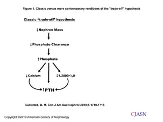 Copyright ©2010 American Society of Nephrology Gutierrez, O. M. Clin J Am Soc Nephrol 2010;5:1710-1716 Figure 1. Classic versus more contemporary renditions of the "trade-off" hypothesis 