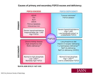 Causes of primary and secondary FGF23 excess and deficiency. Wolf M JASN 2010;21:1427-1435 ©2010 by American Society of Nephrology 
