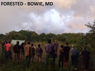 FORESTED - BOWIE, MD
 
