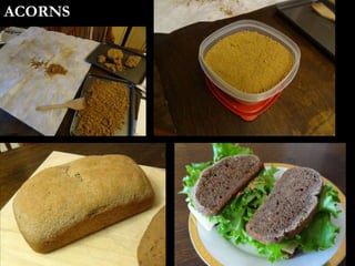 ACORNS
 