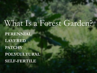 What Is a Forest Garden?
PERENNIAL
LAYERED
PATCHY
POLYCULTURAL
SELF-FERTILE
 