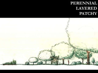 PERENNIAL
LAYERED
PATCHY
 