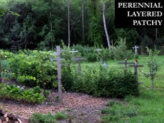 PERENNIAL
LAYERED
PATCHY
 