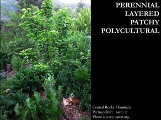 Central Rocky Mountain
Permaculture Institute
Photo source: apios.org
PERENNIAL
LAYERED
PATCHY
POLYCULTURAL
 
