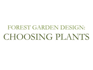 FOREST GARDEN DESIGN:
CHOOSING PLANTS
 