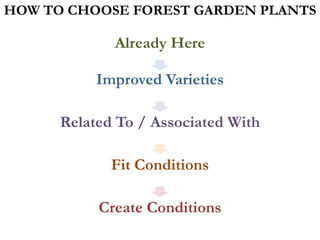 Already Here
HOW TO CHOOSE FOREST GARDEN PLANTS
Improved Varieties
Related To / Associated With
Fit Conditions
Create Conditions
 