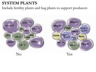 SYSTEM PLANTS
Include fertility plants and bug plants to support producers
No Yes
 
