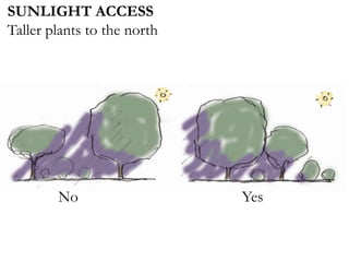 SUNLIGHT ACCESS
Taller plants to the north
No Yes
 