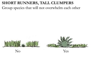 SHORT RUNNERS, TALL CLUMPERS
Group species that will not overwhelm each other
No Yes
 