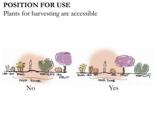 POSITION FOR USE
Plants for harvesting are accessible
No Yes
 