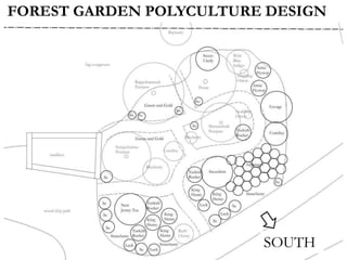 FOREST GARDEN POLYCULTURE DESIGN
SOUTH
 