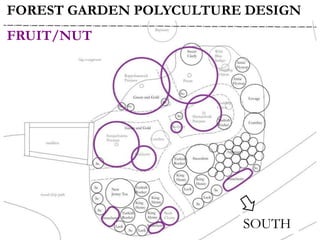 FOREST GARDEN POLYCULTURE DESIGN
FRUIT/NUT
SOUTH
 