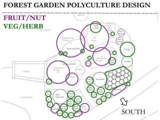 FOREST GARDEN POLYCULTURE DESIGN
FRUIT/NUT
VEG/HERB
SOUTH
 