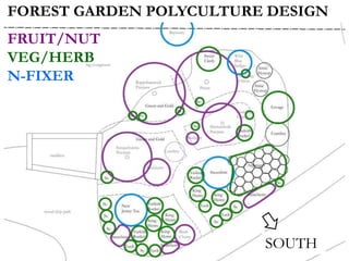FOREST GARDEN POLYCULTURE DESIGN
FRUIT/NUT
VEG/HERB
N-FIXER
SOUTH
 