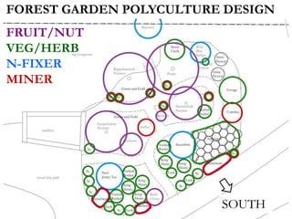 FOREST GARDEN POLYCULTURE DESIGN
FRUIT/NUT
VEG/HERB
N-FIXER
MINER
SOUTH
 