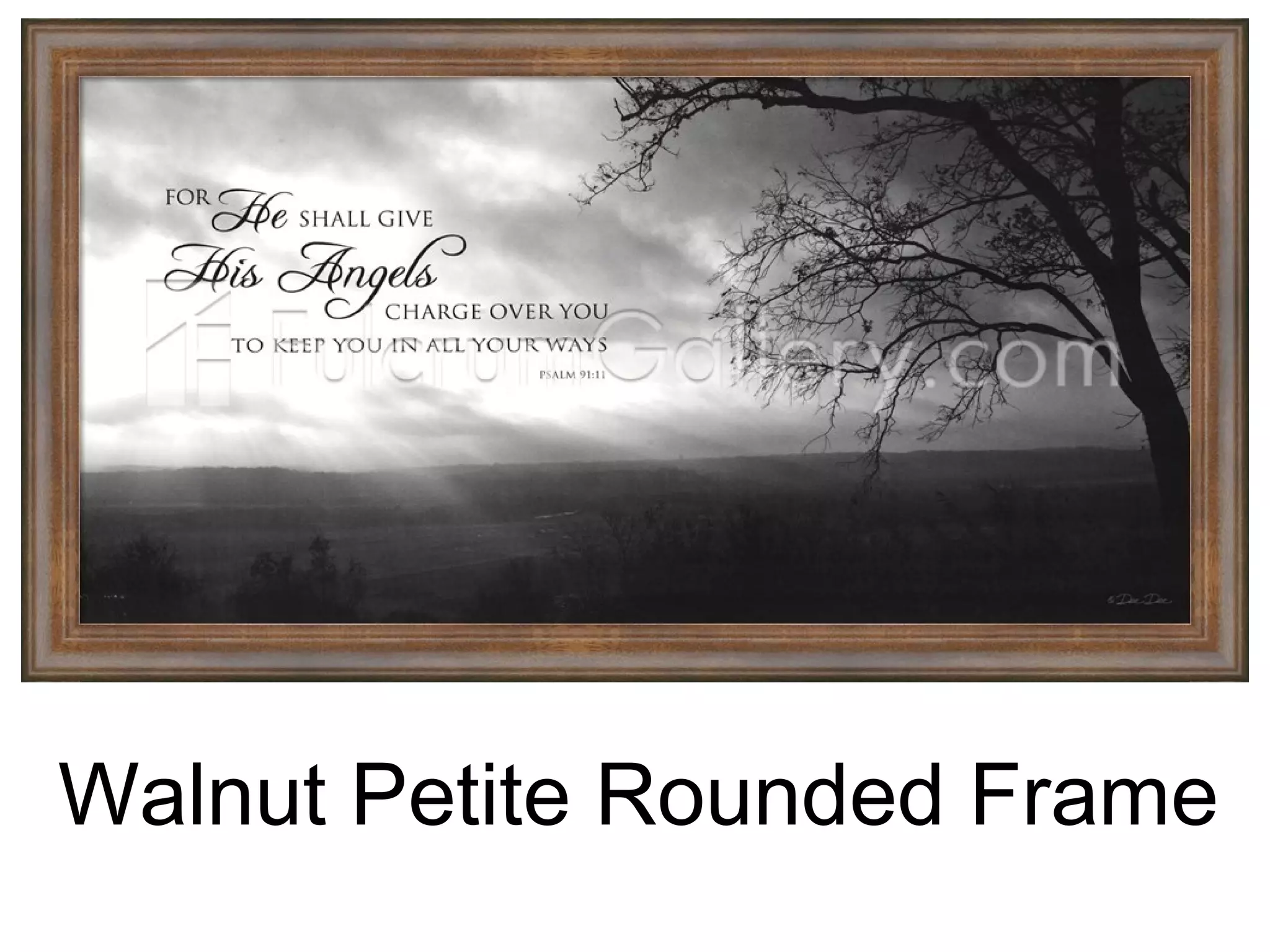 Walnut Petite Rounded Frame