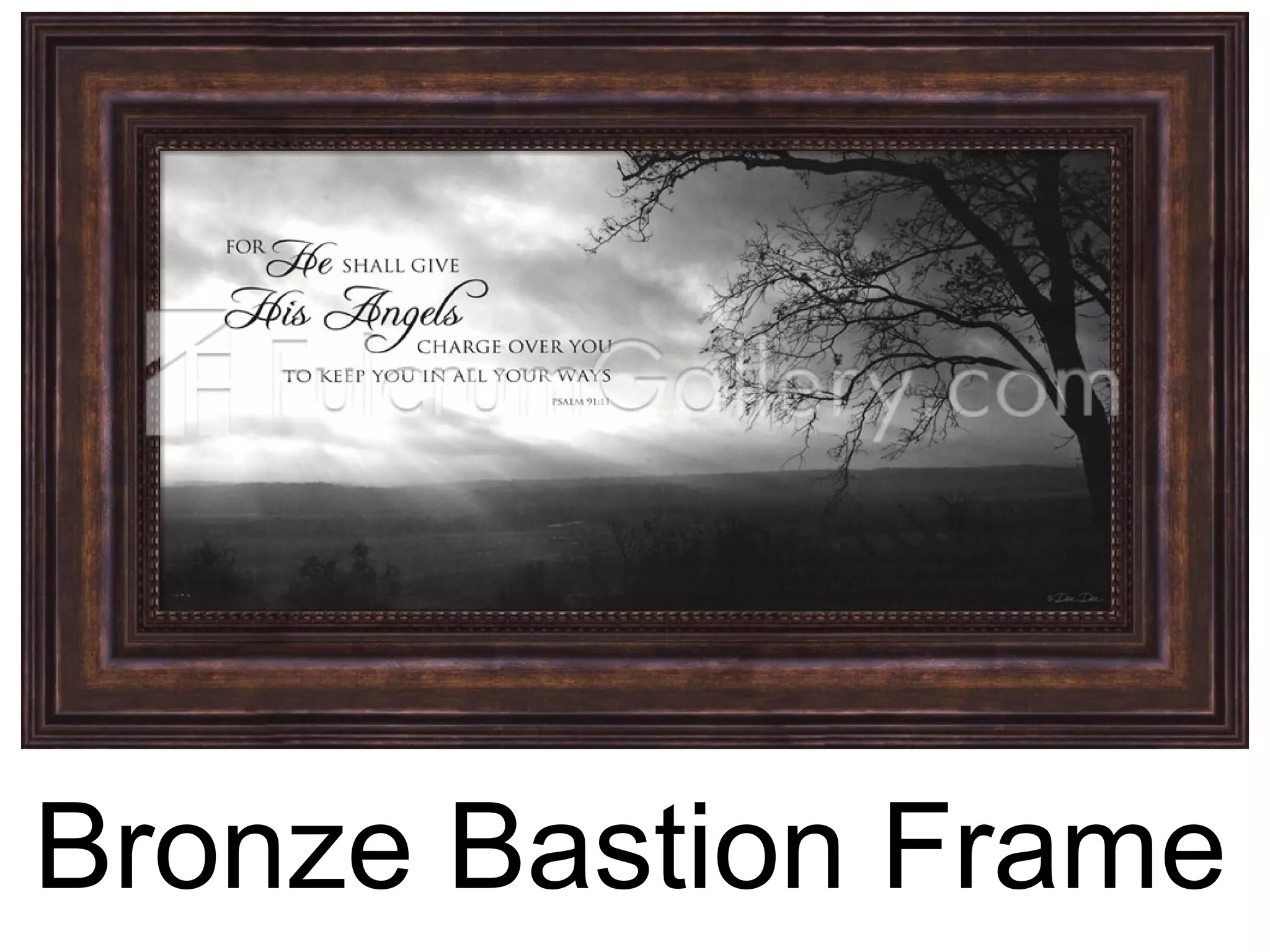 Bronze Bastion Frame