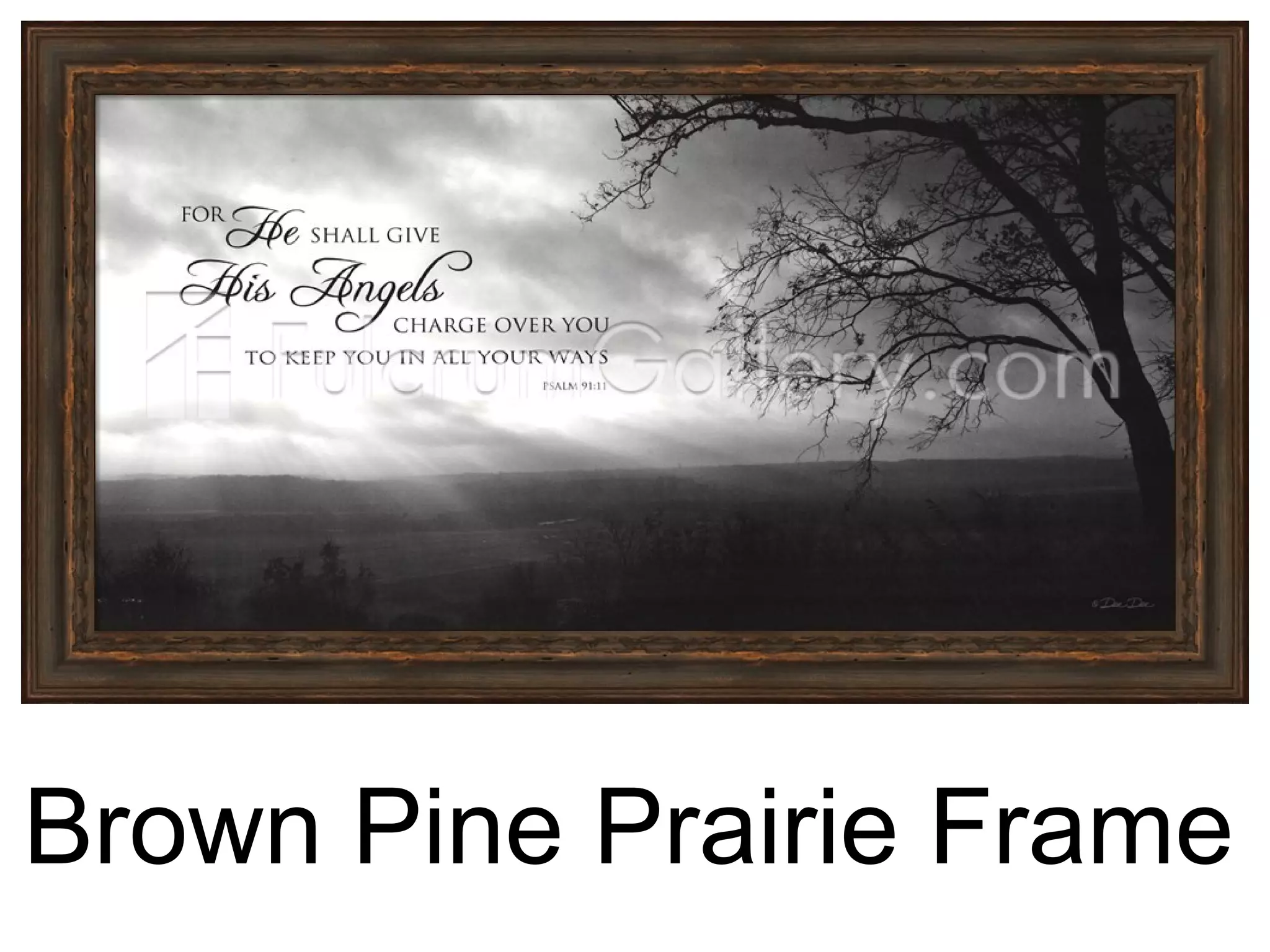 Brown Pine Prairie Frame
