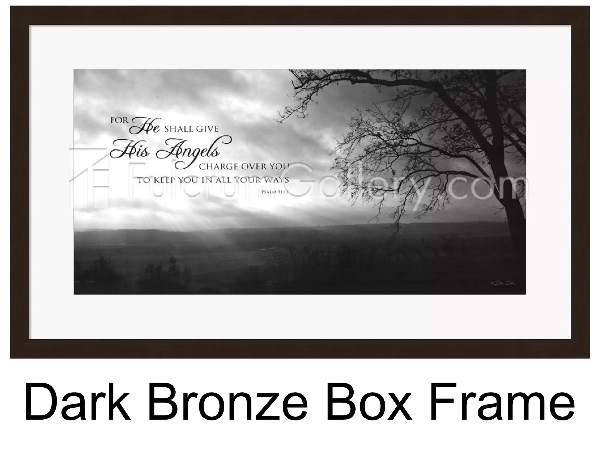 Dark Bronze Box Frame